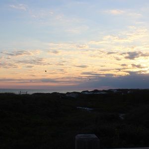 Meet your Posher, Adelaide